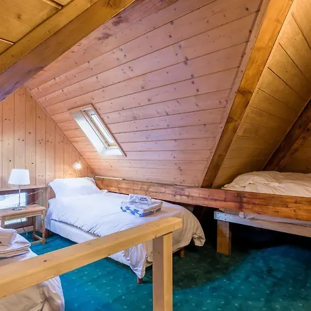 Terrier - All Year Chalet Chamonix