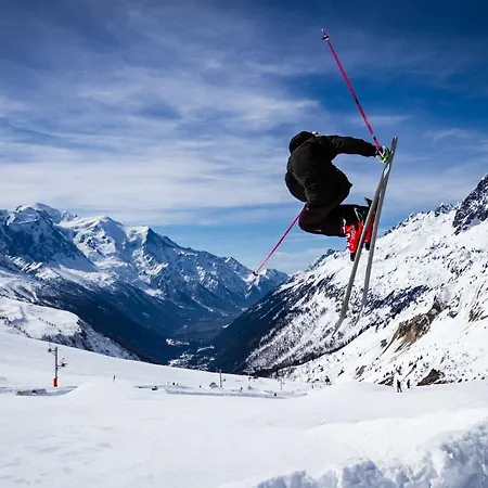 Terrier - All Year * Chamonix